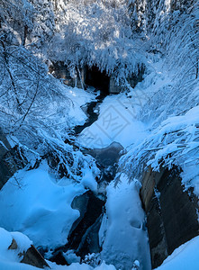 高山雪冬季森林带雪流和冰冻的小溪图片
