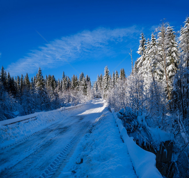 通往边远山区小村庄高的二级公路穿过雪林流和路边的木栅栏图片