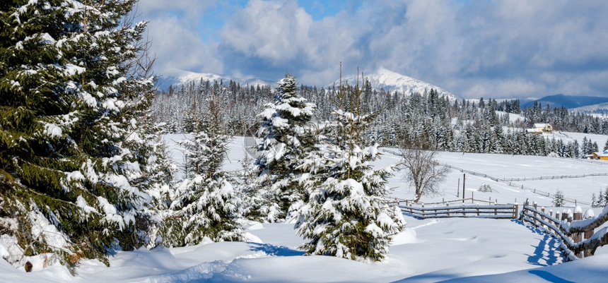 冬季偏远的阿尔卑斯山村郊区农丘林和农田图片