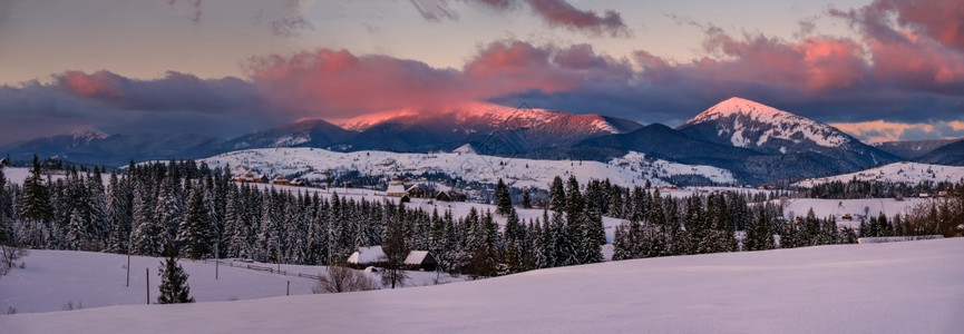 阿尔卑斯村郊区的全景在昨晚日落阳光下冬季雪山和风树远处的宏大和闪耀山脉Voronenko乌克兰喀尔巴阡山图片