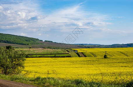 乌克兰利沃夫地区图片