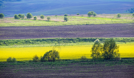 乌克兰利沃夫地区图片
