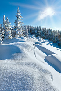 冬季雪的漂覆盖山边顶有木头树蓝天空有阳光图片