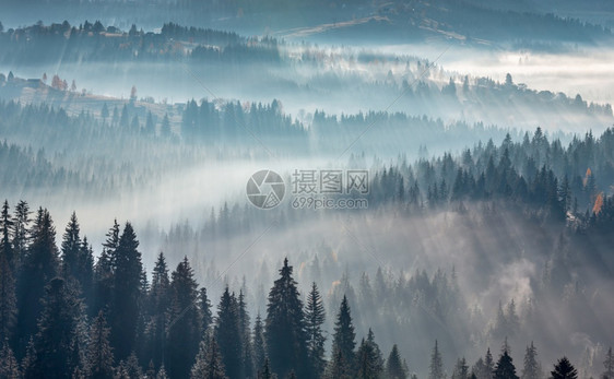 空气薄雾中的光和阴影云雾中的阳光和阴影山坡上的雾和树太阳第一线喀尔巴阡山脉地貌乌克兰伊瓦诺弗基夫斯克州的早晨秋天图片