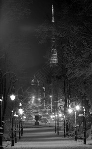 灰色地带美丽的夜晚冬天伊万弗兰科公园走道在利沃夫市中心乌克兰并照亮了高堡电视塔图片