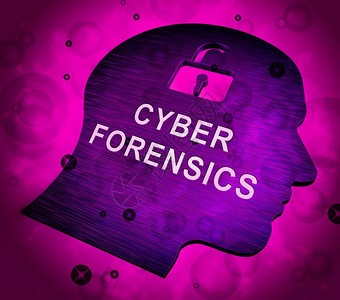 网络法医计算机犯罪分析3d网上侦探诊断以识别网上络犯罪图片