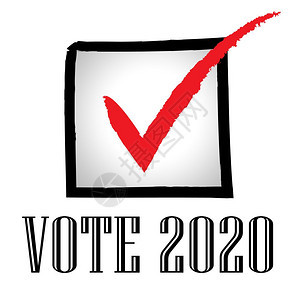 20年选举USA总统候选人投票美国政治公决运动2d说明图片