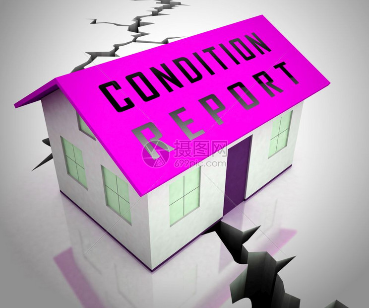 财产状况报告房内财产状况报告意味着不动产Rics调查建筑或住房调查结果检3d说明图片