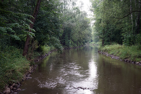洛西尼奥斯特罗夫公园的河流图片
