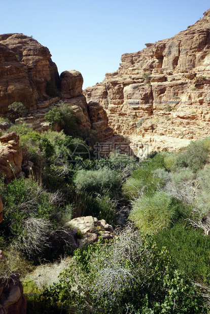 约旦峡谷绿洲图片