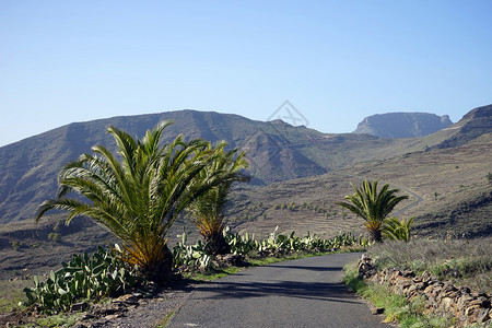 西班牙拉戈梅岛的公路和沥青图片