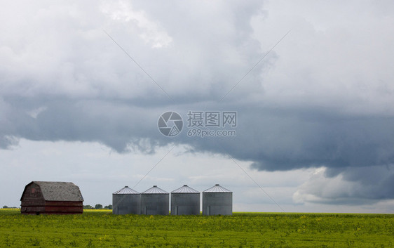 萨斯喀彻温帕蕊加拿大农场图片