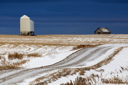 加拿大萨斯喀彻温省冬季的Prairie景观图片
