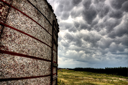 萨斯喀彻温省风云和旧木制粮仓图片