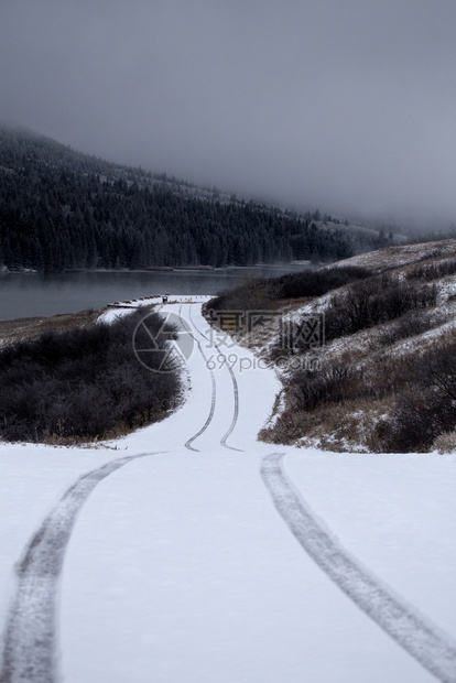 加拿大艾伯塔省冬季Cypress山图片