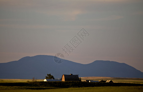 美国蒙大拿州北部日落农场图片