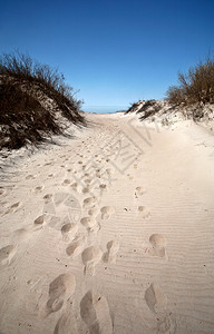 在马尼托巴省大海滩沙中图片