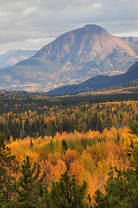 不列颠哥伦比亚省秋季的山景图片