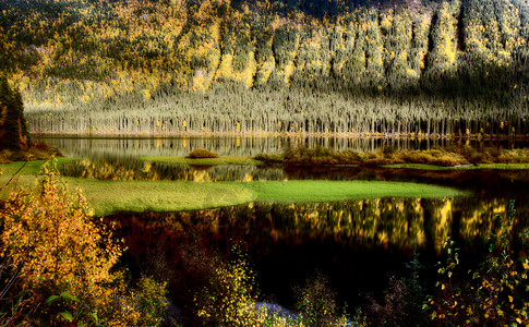 英国科卢米亚秋天对贝尔湖的反省图片