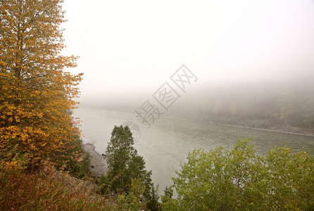 不列颠哥伦比亚省Skeena河上的雾图片