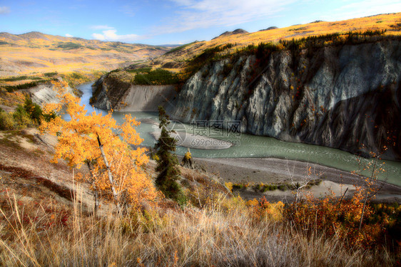 不列颠哥伦比亚北部Stikine河的秋色图片
