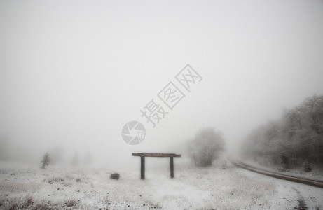 萨斯喀彻温省CypressHills省公园的冰雾图片