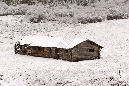 冬季在Cypress山的废弃牧场图片