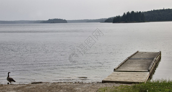加拿大北部湖码头在野地马尼托巴鸭山图片