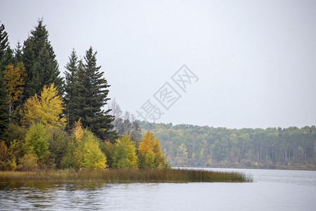 萨斯喀彻温北部秋天荒野农村风景前图片
