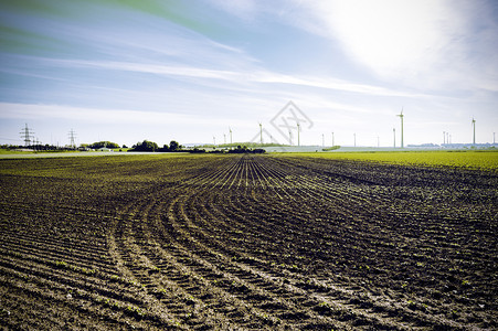 奥地利风景中的田播种现代风力涡轮机生产能源图片