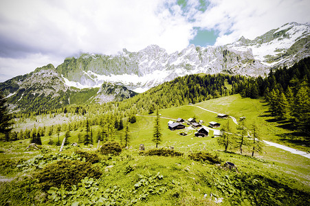 奥地利村庄周围是森林草地田和牧场其背景是雪压阿尔卑斯山脉背景图片