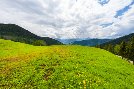 奥地利貌景观在雪积阿尔卑斯山的背景下有森林田地牧场和草原图片