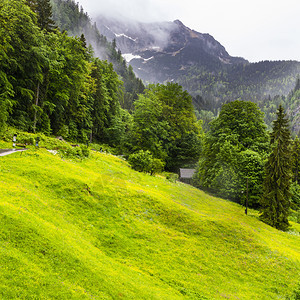 奥地利草原森林山地牧场草原和村庄图片