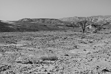以色列内盖夫沙漠的落基山以色列南部岩层令人呼吸的景象被瓦迪斯山和深坑打断的尘土山黑白摄影图片