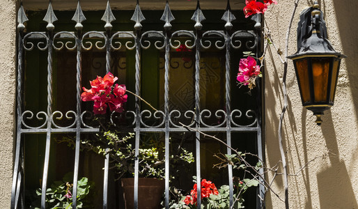 装饰在马耳他有金属板的鲜花窗户图片