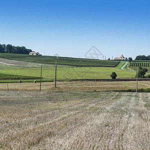 法国葡萄的工业增长法国葡萄园收割后围着一排美丽的葡萄园和小麦田图片