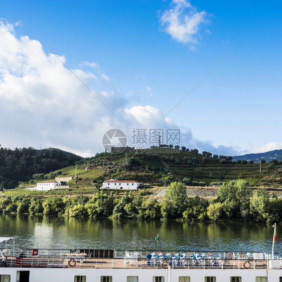 在葡萄牙杜罗河地区在葡萄牙园和橄榄之间旅行图片