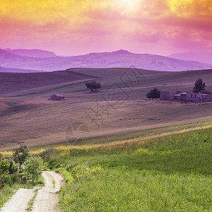 日出山丘田地鲜花牧场和阳光的西里风景色图片