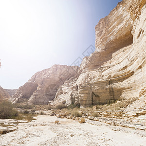 日出时以色列内盖夫沙漠的洛基山丘以色列南部沙漠中岩层令人窒息的景色图片