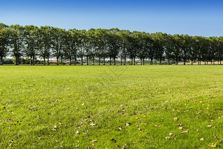 通过法国的一片广阔草原通往农村豪宅的沙小巷图片