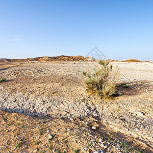 以色列内盖夫沙漠的落基山以色列南部沙漠的风雕刻岩层图片