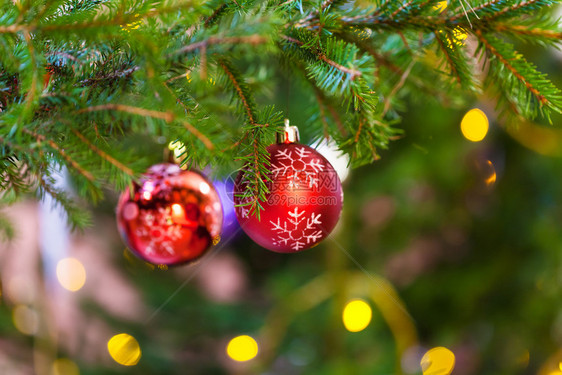 Xmas背景室内圣诞树枝上两个红球和雪花图案的红球图片