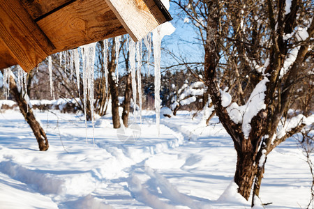 俄罗斯摩伦克地区Smolensk村阳光明媚的冬天木屋顶边缘的冰棒图片