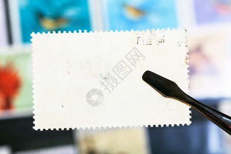 集邮概念拖把未用胶贴在库存本上的邮票贴在上图片