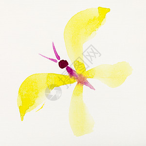 在奶油纸上手工绘画用平式手黄翼飞蝴蝶紫色水彩画用黄色翅膀飞翔图片