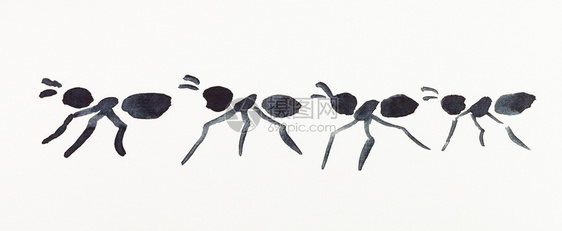 奶油纸上手工绘画用石墨E样式由黑色水绘制的若干蚂蚁图片