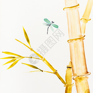在奶油纸上手工绘画用石膏式手绘用水彩画的竹树附近飞来去的苍蝇图片