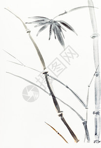 奶油纸上的手工绘画用石美式手绘黑和棕水绘制的竹子灌木图片