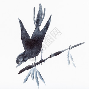 白纸上手工绘画用黑水彩的竹纹鸟图片