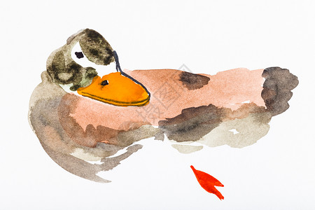白纸上手工绘画面由水彩绘制的色鸭子图片
